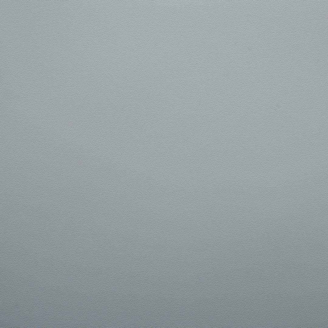 06 Grau (pilka) (RAL 7001)